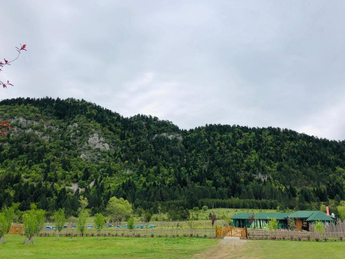 Camping Farm Shelegur Leskovik Dış mekan fotoğraf