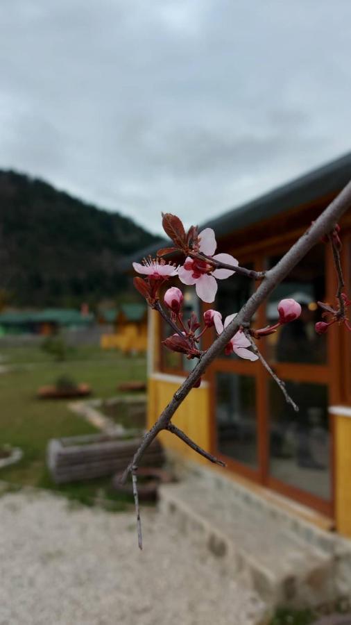 Camping Farm Shelegur Leskovik Dış mekan fotoğraf