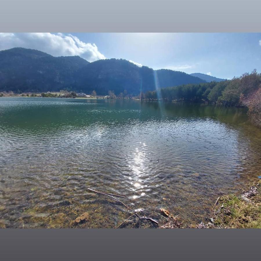 Camping Farm Shelegur Leskovik Dış mekan fotoğraf